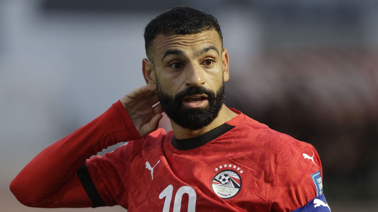 FIFA要求埃及世界杯球衣去掉7星 白色号码也已调整